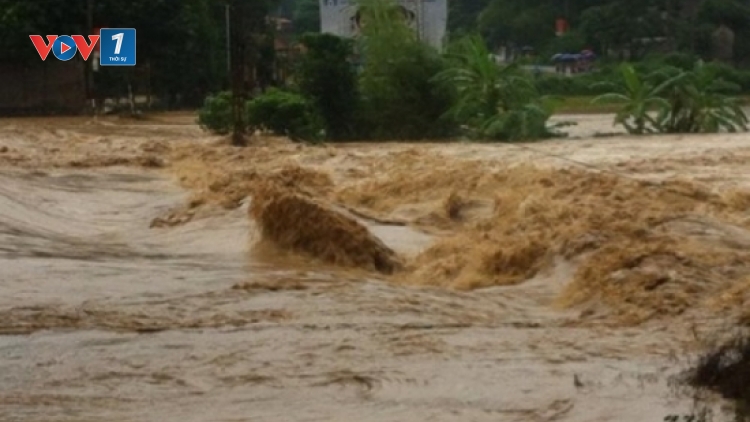 Thời sự đêm ngày 02/8/2015: Các tỉnh miền Bắc tiếp tục chìm trong mưa lũ. Tính đến hôm nay đã có 24 người chết và mất tích do mưa lũ