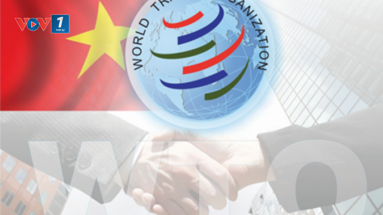 Làm rõ những yếu kém về thể chế sau 8 năm Việt Nam gia nhập Tổ chức Thương mại thế giới