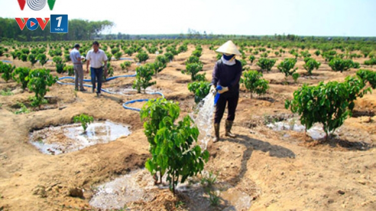 Giải pháp nào bảo đảm an ninh nguồn nước ở Tây Nguyên (10/10/2016)