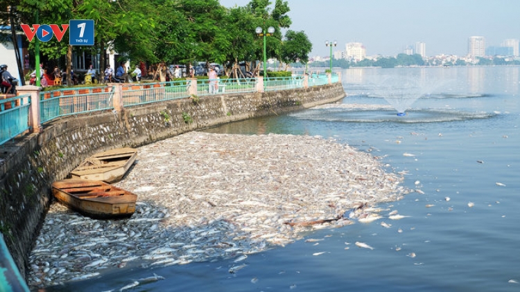Môi trường Hà Nội sẽ ra sao khi “lá phổi” thành phố bị ô nhiễm? (04/10/2016)