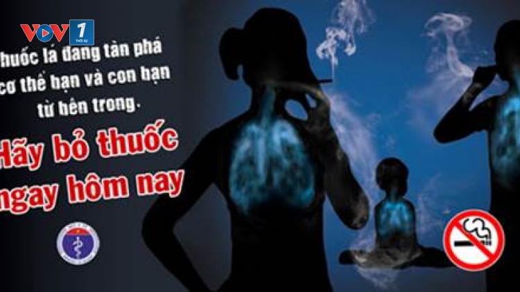 Khó khăn trong thực hiện Luật phòng, chống tác hại của thuốc lá (12/10/2016)