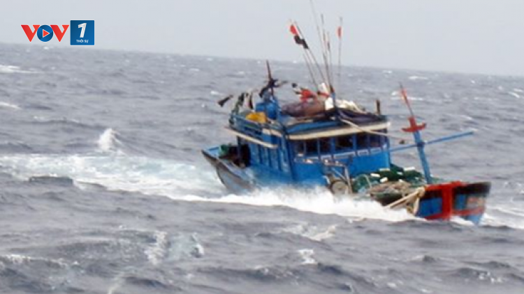 Đảm bảo thông tin liên lạc tàu cá trong mùa mưa bão (9/10/2016)