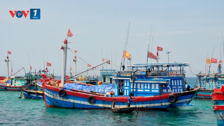 Ngư dân cần được trang bị những kỹ năng gì để vươn khơi an toàn (16/10/2016)