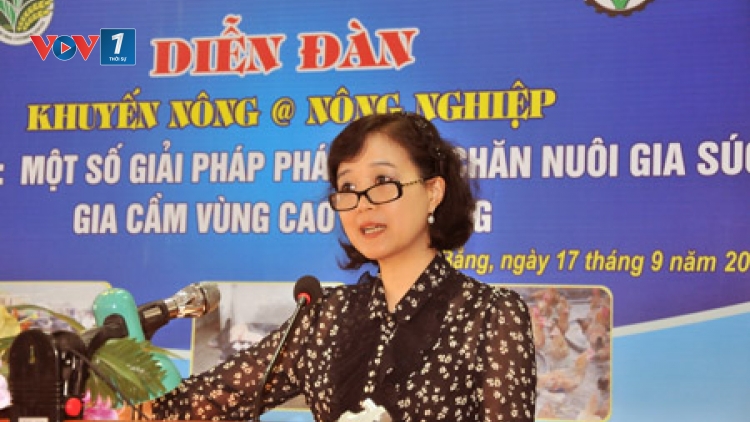 Hướng dẫn cách phòng chống rét cho gia súc, gia cầm, vật nuôi (09/11/2016)