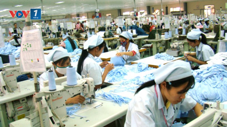 Tăng cường khởi kiện các doanh nghiệp nợ đọng, trốn đóng Bảo hiểm xã hội ra tòa (Thời sự chiều 16/11/2016)