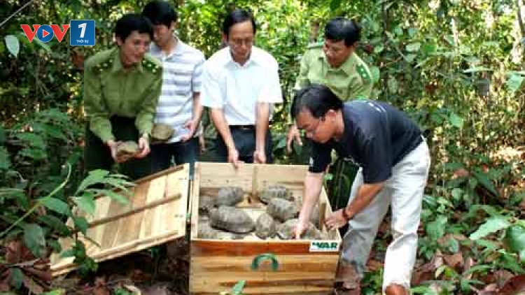 Huy động sự tham gia của người dân trong ngăn chặn buôn bán trái phép động thực vật hoang dã: Kinh nghiệm từ những mô hình tốt (21/11/2016)