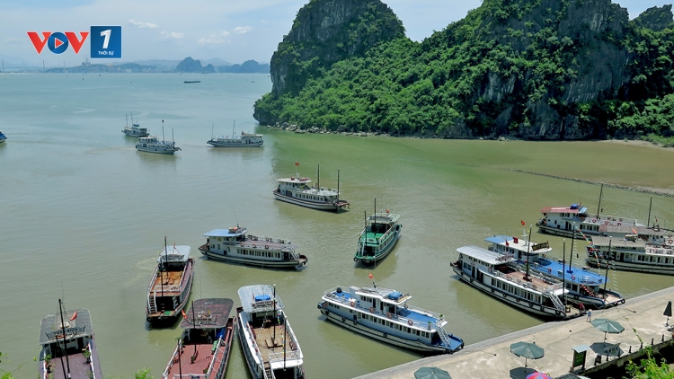 Dự án Luật Du lịch sửa đổi: Tạo điều kiện phát triển du lịch Việt Nam (22/11/2016)