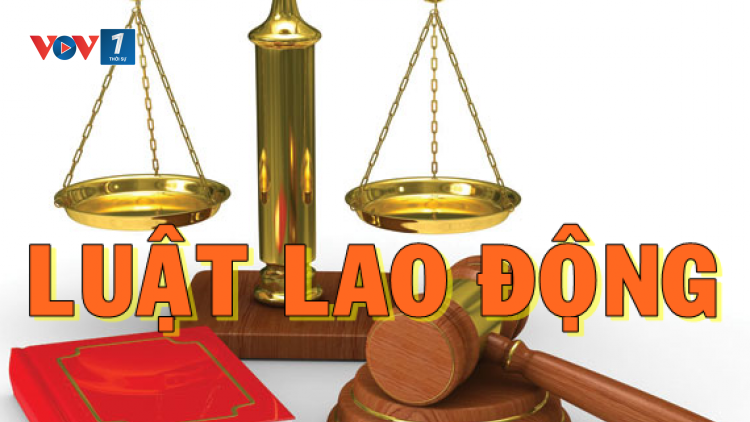Tư vấn Luật Lao động (12/11/2016)