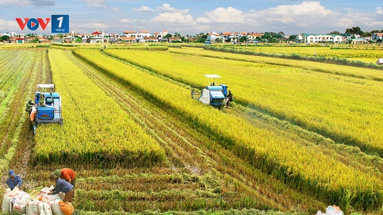Hướng tới công nghiệp nông nghiệp (25/12/2016)