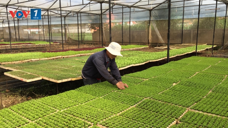 Kinh nghiệm sản xuất nông sản sạch (20/12/2016)