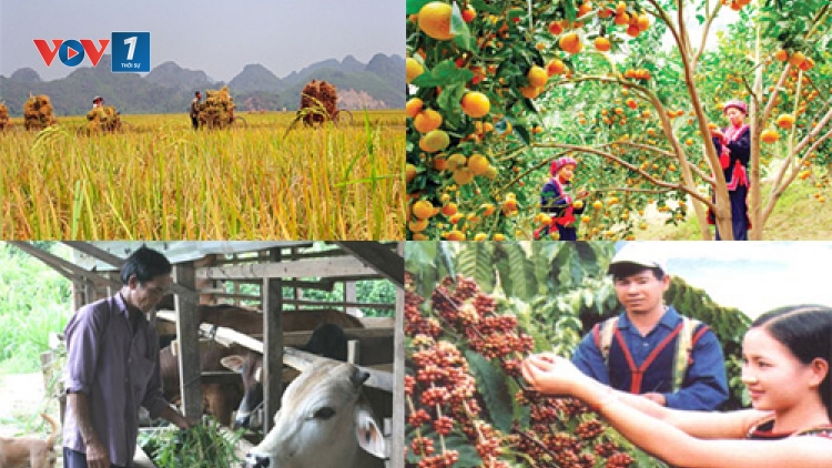 Phòng ngừa thời tiết cực đoan: Đâu là giải pháp để thúc đẩy nông nghiệp Việt Nam phát triển (6/12/2016)