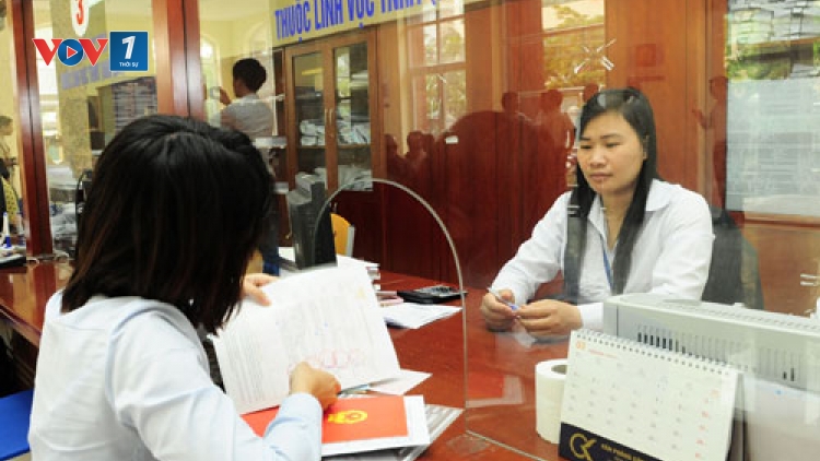Nâng cao năng lực thực thi hiệp định VPA/FLEGT cho các hộ trồng rừng (22/12/2016)