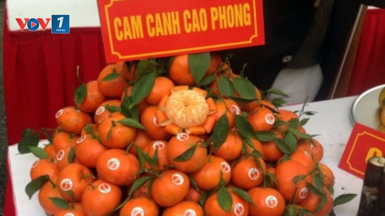Chỉ dẫn địa lý – Việt Nam chưa khai thác hết tiềm năng. (19/4/2016)