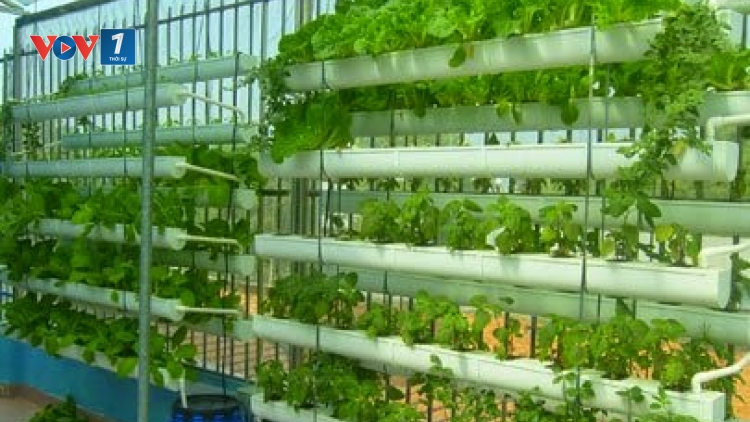 Trái ngọt của niềm tin (22/4/2016)