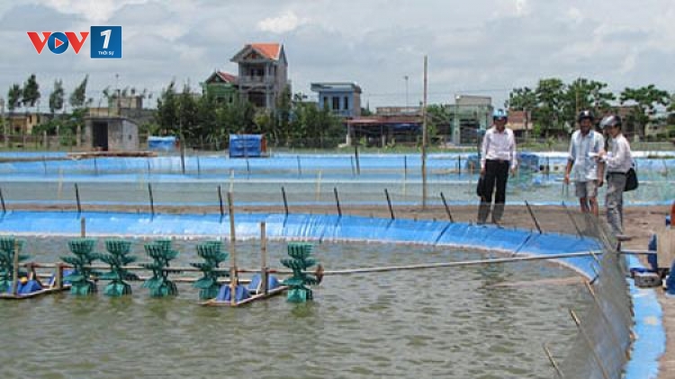 Ứng dụng hiệu quả khoa học công nghệ trong nuôi trồng thủy sản. (26/4/2016)