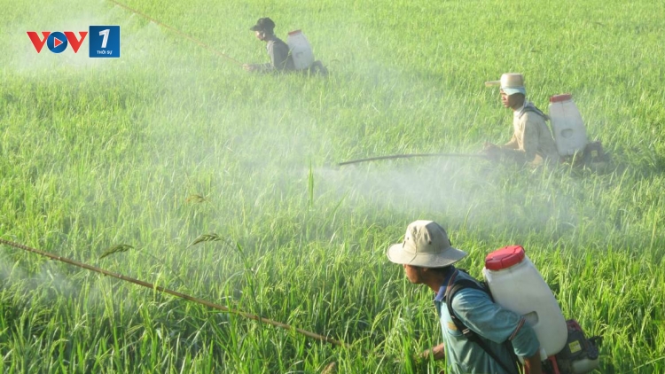 Lãng phí tiền tỷ vào đồng ruộng, đầu độc cả môi trường sinh thái (19/4/2016)