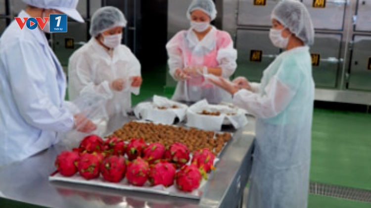 Ứng dụng khoa học công nghệ trong công nghệ bảo quản sau thu hoạch để nâng cao giá trị hàng nông sản xuất khẩu (27/5/2016)