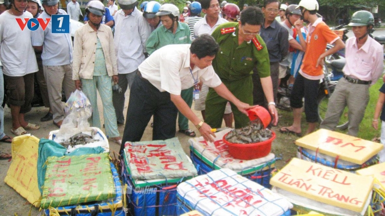 Đảm bảo an toàn vệ sinh thực phẩm - cần giải pháp quyết liệt (25/5/2016)