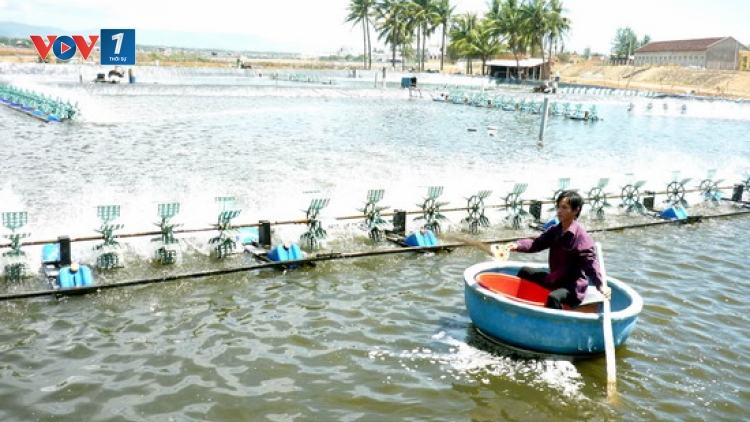 Ứng dụng khoa học công nghệ để hạn chế dùng kháng sinh trong nuôi trồng thủy sản. (24/5/2016)