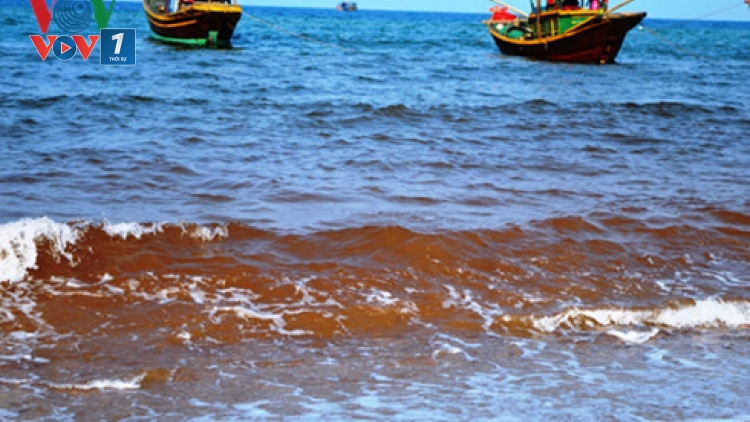 Các nhà khoa học lấy mẫu nghiên cứu vệt nước biển đổi màu đỏ đục lạ thường kèm theo nhiều cá mới chết liên tục dạt vào bờ tại bờ biển xã Nhân Trạch, huyện Bố Trạch, tỉnh Quảng Bình (Thời sự đêm 4/5/2016)