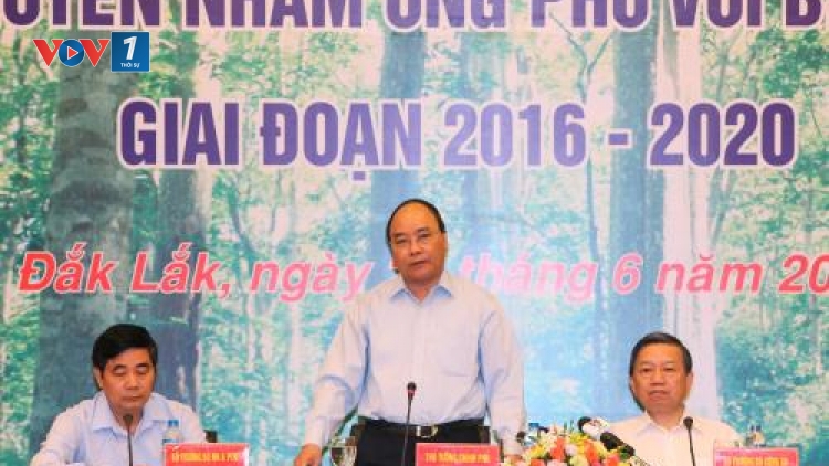 Thủ tướng Nguyễn Xuân Phúc yêu cầu các địa phương kiên quyết đóng cửa rừng tự nhiên để bảo vệ rừng. (Thời sự trưa 20/6/2016)