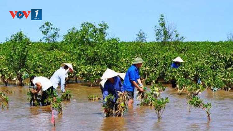 Ứng phó với biến đổi khí hậu ở đồng bằng sông Cửu Long, cần lồng ghép giới trong các hoạt động (7/6/2016)