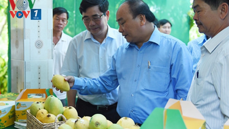 Thủ tướng Nguyễn Xuân Phúc làm việc với lãnh đạo tỉnh Đồng Tháp về tình hình thực hiện nhiệm vụ kinh tế xã hội và bàn các giải pháp khắc phục tình trạng hạn hán, tái cơ cấu nông nghiệp (Thời sự chiều 12/6/2016)
