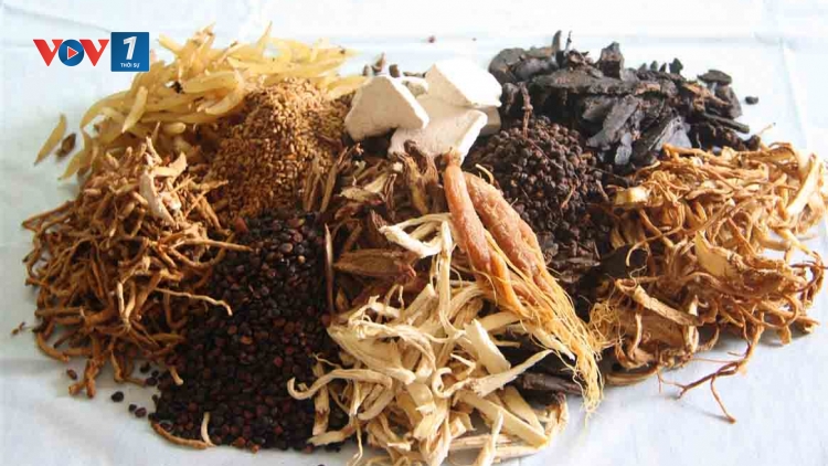 Phòng và hỗ trợ điều trị một số bệnh thường gặp bằng thuốc nam. (5/7/2016)