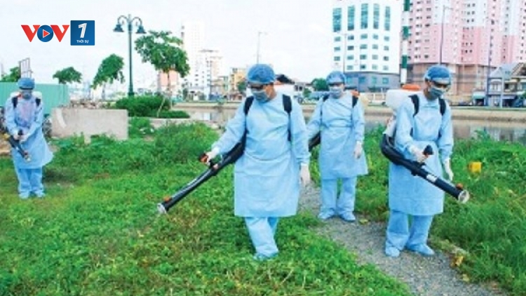 Bộ Y tế khuyến cáo cần chủ động phòng, chống bệnh sốt xuất huyết trong mùa mưa. (Thời sự đêm 08/7/2016)