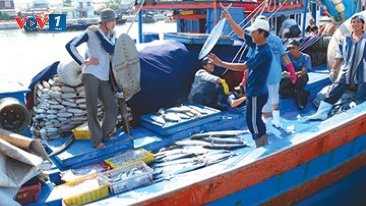 Hiện đại hóa nghề cá và bài toán nhân lực (26/8/2016)