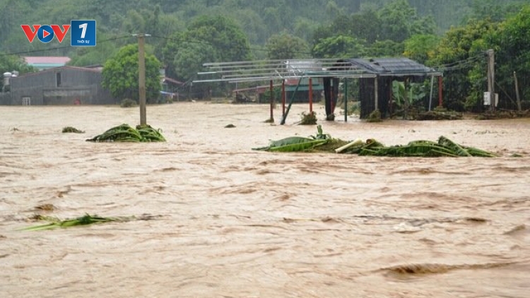 Lũ quét tại Lào Cai khiến 11 người chết và mất tích, trong đó có 8 trẻ em (Thời sự trưa 5/8/2016)