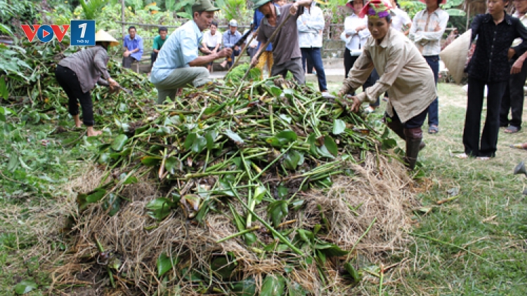 Ứng dụng khoa học công nghệ để tận dụng phế phụ phẩm nông nghiệp làm phân bón sinh học. (5/8/2016)