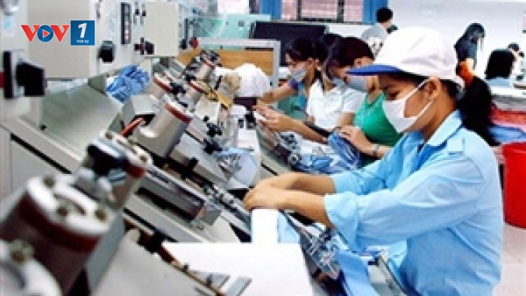 Quyền lợi và nhiệm vụ của người lao động trong bảo hiểm xã hội (31/8/2016)