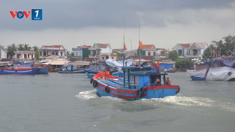 Ngăn chặn môi giới lao động tàu cá ra nước ngoài khai thác trái phép (21/8/2016)