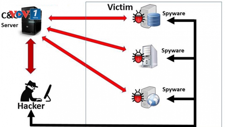 Tập đoàn công nghệ Bkav vừa công bố: Mã độc tấn công Vietnam Airlines cũng đã xuất hiện tại nhiều cơ quan, doanh nghiệp khác (Thời sự chiều 8/8/2016)