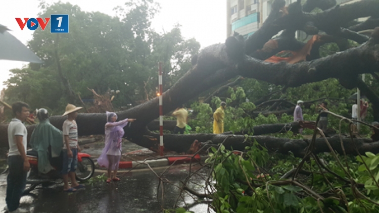 Mưa lũ: Tại sao đã cảnh báo nhưng vẫn thiệt hại nặng? (23/8/2016)