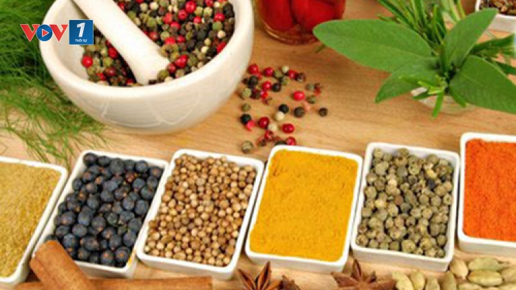 Lợi thế của thuốc đông dược cũng như việc phòng bệnh và sử dụng thuốc sao cho hiệu quả (1/8/2016)