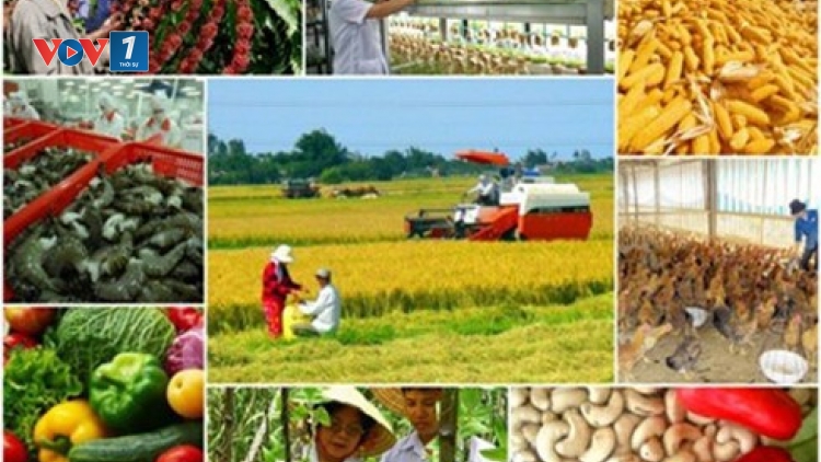Lần đầu tiên, GDP nông nghiệp tăng trưởng âm 0,18% (Thời sự trưa 19/9/2016)