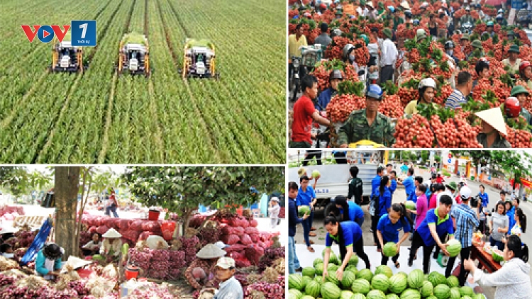 Nông sản Việt với bài toán phụ thuộc vào một thị trường (4/9/2016)