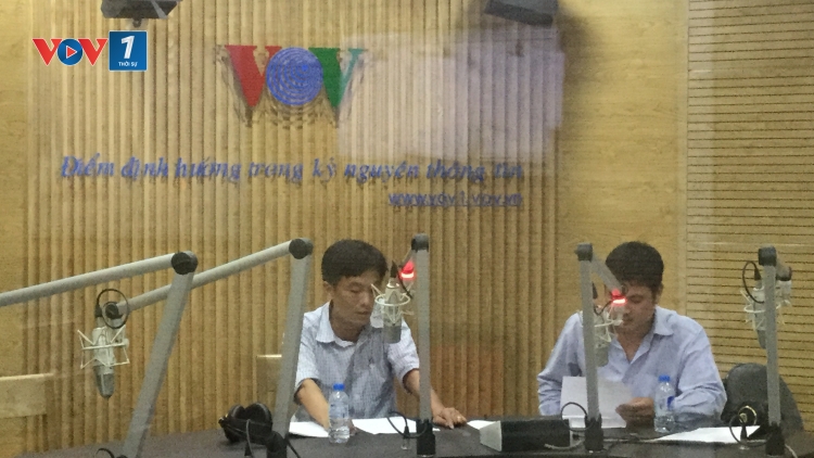Nâng cao năng suất, chất lượng, hiệu quả trồng ngô vụ đông 2016 ở miền Bắc (21/9/2016)