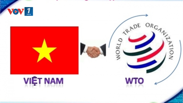 Bài học kinh nghiệm sau 10 năm gia nhập Tổ chức Thương mại thế giới (WTO) (11/1/2017)