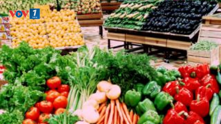 Ngành Nông nghiệp Việt Nam tiếp tục thực hiện "Năm An toàn thực phẩm" với trọng tâm là nhân rộng các mô hình cung ứng nông sản an toàn. (Thời sự trưa 29/01/2017)