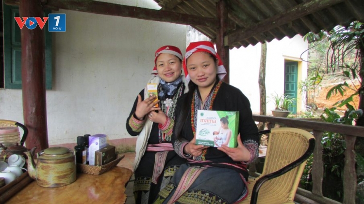 Tiếp cận và khai thác nguồn gen và chia sẻ lợi ích: Nhìn từ câu chuyện thành công của Sapa-napro (2/1/2017)