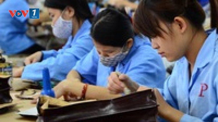 Bộ Lao động Thương binh và Xã hội đề xuất tăng gấp 3 lần đối với giờ làm thêm trong một năm hiện nay (Thời sự đêm 04/01/2017)