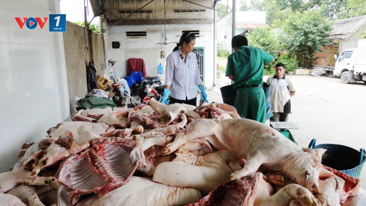 Vì sao thực phẩm “bẩn” từ biên giới vẫn tràn vào nội địa (9/1/2017)