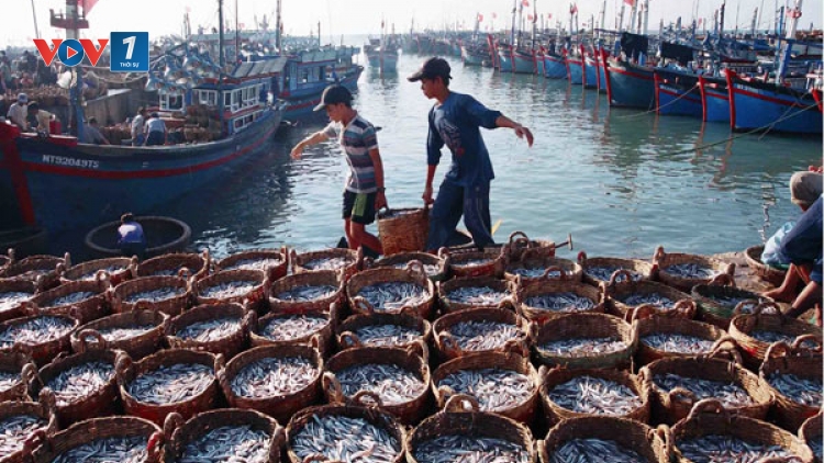 Ngành thủy sản với nhiệm vụ phát triển kinh tế biển và bảo vệ chủ quyền biển, đảo Tổ quốc (01/10/2017)