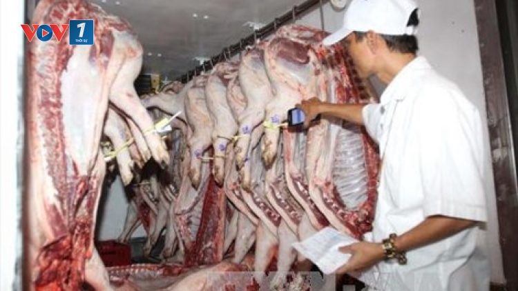 Đề án Quản lý, nhận diện và truy xuất nguồn gốc thịt heo đã thất bại ngay ngày đầu tiên thực hiện tại hai chợ đầu mối nông sản thực phẩm là Hóc Môn và Bình Điền của Thành phố Hồ Chí Minh (Thời sự trưa 16/10/2017)