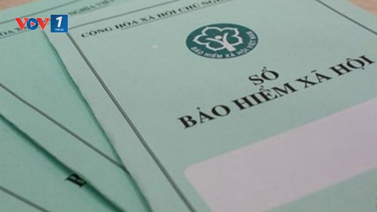 Xử lý những vi phạm trong thực hiện chính sách bảo hiểm xã hội (23/11/2017)