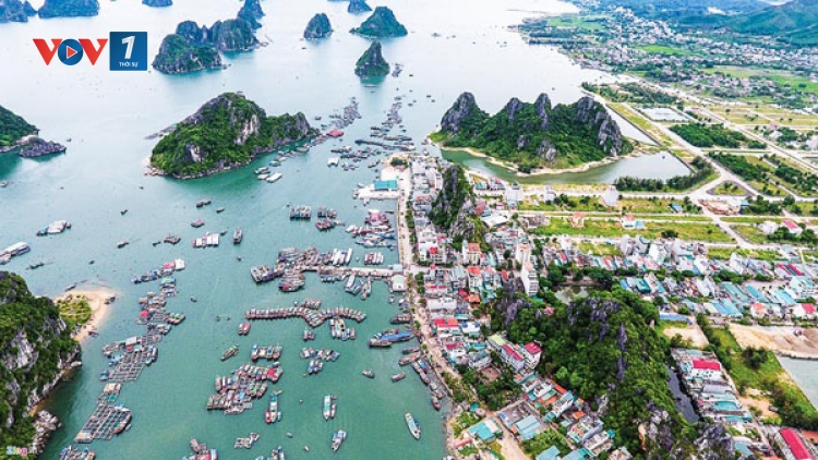 Đặc khu kinh tế: Ưu đãi có hấp dẫn nhà đầu tư? (29/11/2017)
