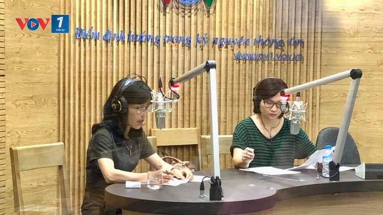 Khôi phục và bảo vệ vườn tiêu sau mưa bão (15/11/2017)